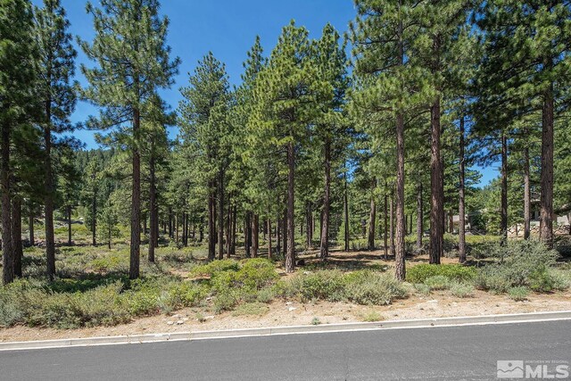 206 S Big Sage Ln, Reno, NV 89511