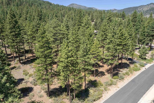 206 S Big Sage Ln, Reno, NV 89511