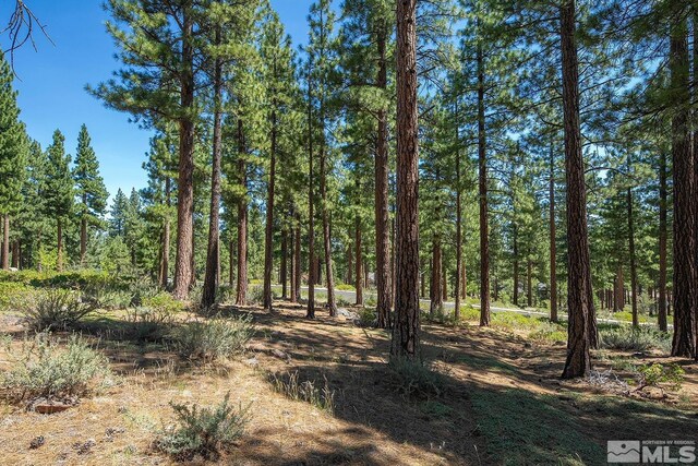 206 S Big Sage Ln, Reno, NV 89511
