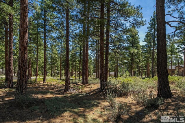 206 S Big Sage Ln, Reno, NV 89511