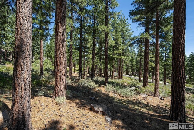 206 S Big Sage Ln, Reno, NV 89511