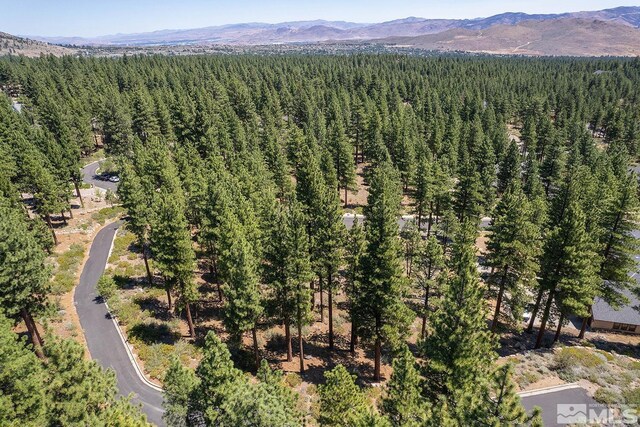 206 S Big Sage Ln, Reno, NV 89511