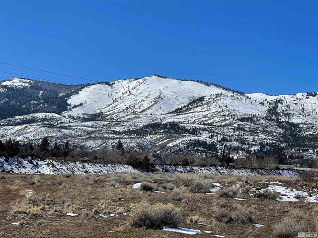 355 River, Reno, NV 89439 - photo 8