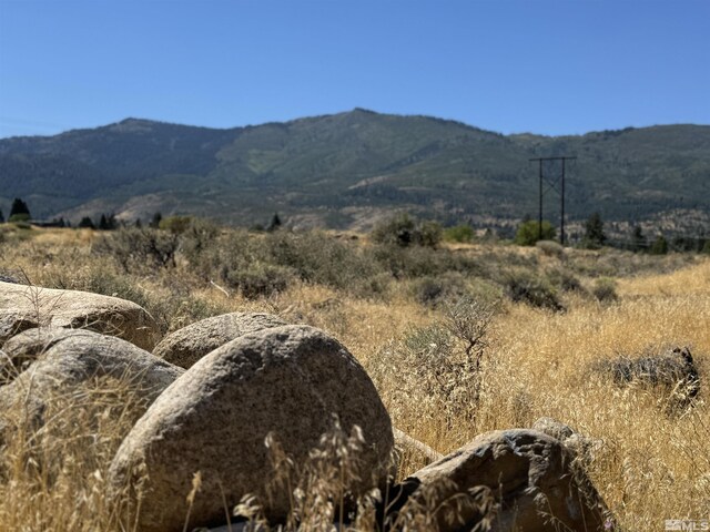355 River, Reno, NV 89439 - photo 10