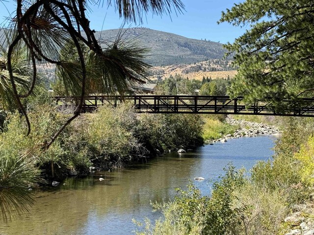 355 River, Reno, NV 89439 - photo 12