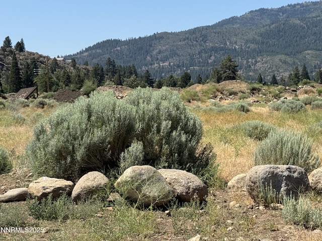 355 River, Reno, NV 89439 - photo 1