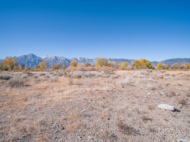 1300 Centerville Ln, Gardnerville, NV 89410
