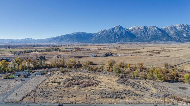 1300 Centerville Ln, Gardnerville, NV 89410