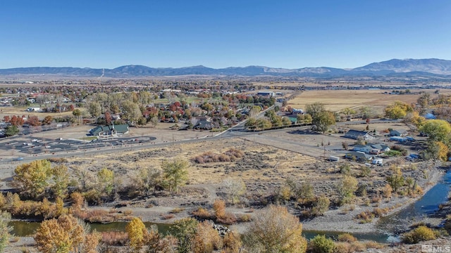 1300 Centerville Ln, Gardnerville, NV 89410