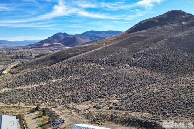 2919 State Route 208, Wellington, NV 89444