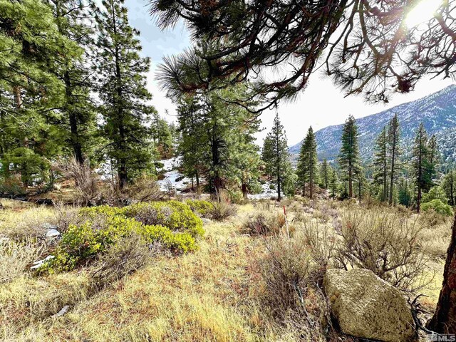 187 Scenic Range Ct, Carson City, NV 89705