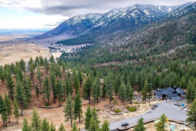 187 Scenic Range Ct, Carson City, NV 89705