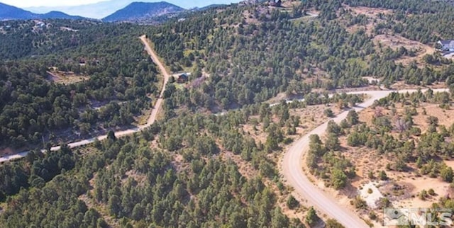 1380 Bonanza Rd, Virginia City, NV 89521