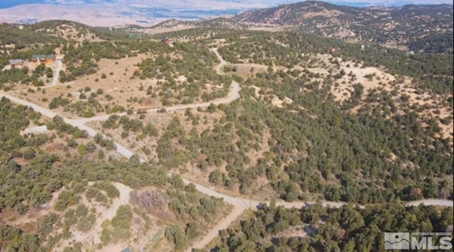 1380 Bonanza Rd, Virginia City, NV 89521
