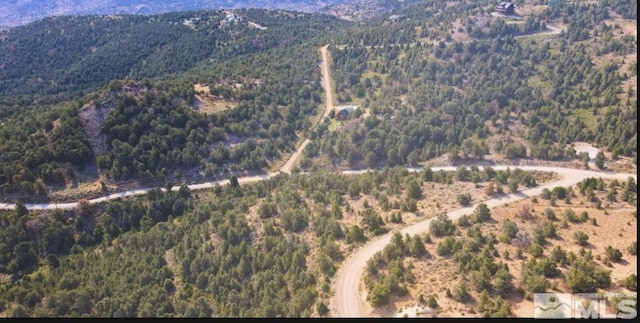 1380 Bonanza Rd, Virginia City, NV 89521