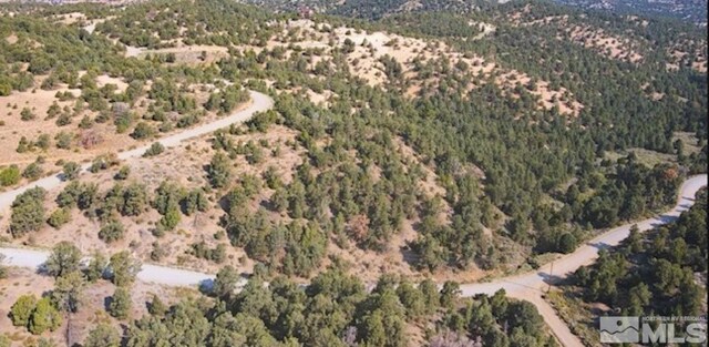 1380 Bonanza Rd, Virginia City, NV 89521