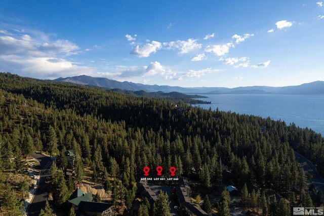 228 Bedell, Glenbrook, NV 89413 - photo 2