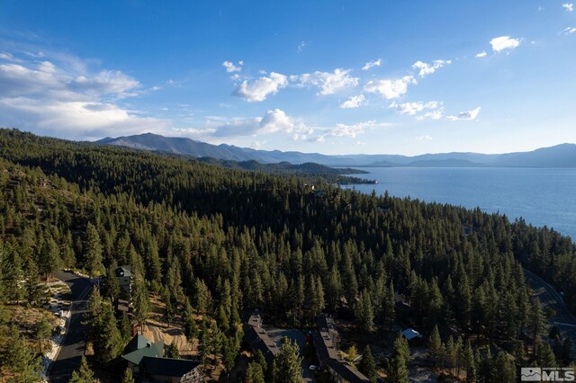 228 Bedell, Glenbrook, NV 89413 - photo 3