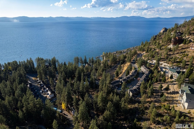 228 Bedell, Glenbrook, NV 89413 - photo 6