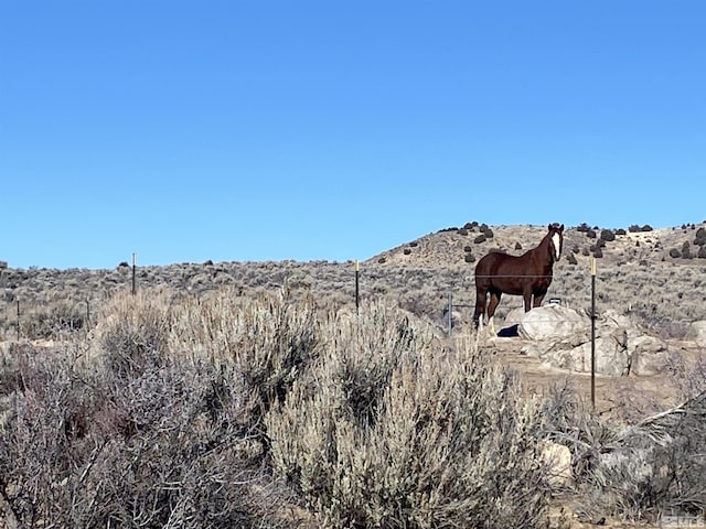 275 Quarterhorse Cir, Reno, NV 89508 - photo 3