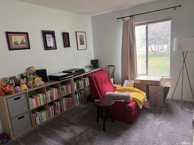 400 S Saliman Rd Unit 15, Carson City, NV 89701 - photo 6