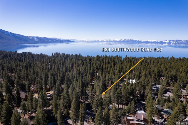 929 Southwood Blvd, Incline Village, NV 89451 - photo 1