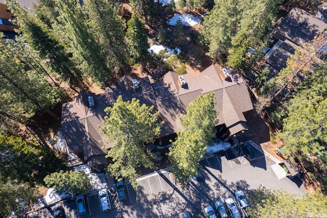 929 Southwood Blvd, Incline Village, NV 89451 - photo 24