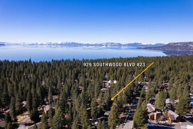 929 Southwood Blvd, Incline Village, NV 89451 - photo 26