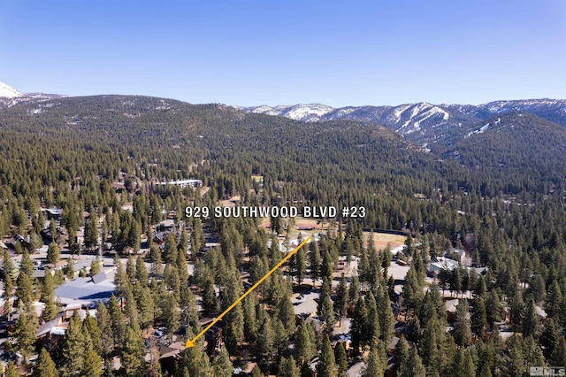 929 Southwood Blvd, Incline Village, NV 89451 - photo 28