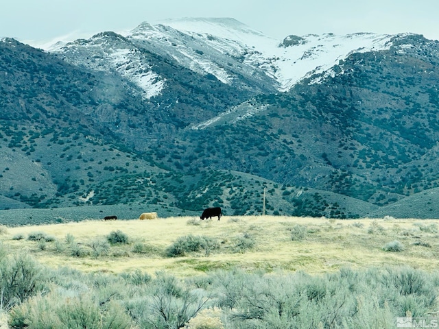 22025 Fall River Dr, Lovelock, NV 89419