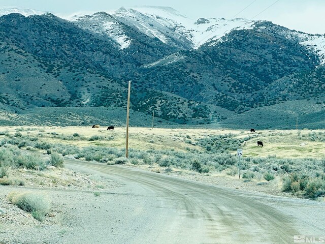 22025 Fall River Dr, Lovelock, NV 89419