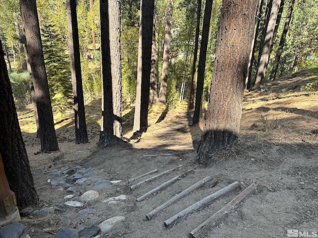 100 Timber Ln, Markleeville, CA 96120 - view of yard