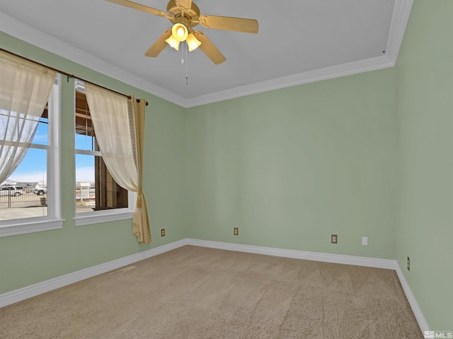 310 Eagle Pl, Smith, NV 89430 - photo 10