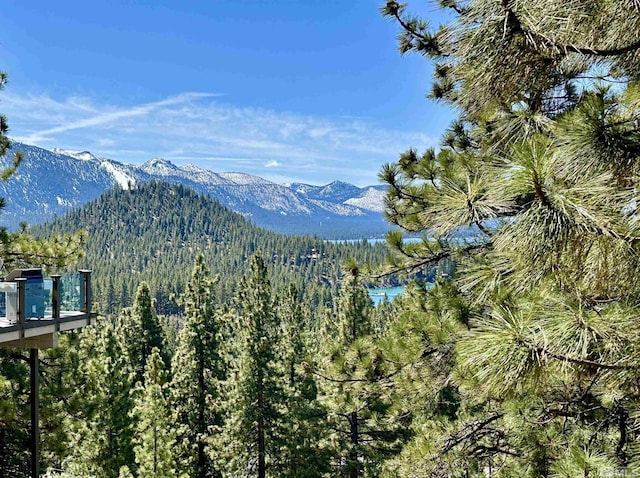227 S Martin, Zephyr Cove, NV 89448