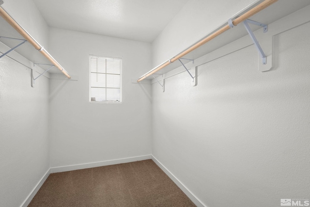 432 Summer Triangle, Reno, NV 89506 - walk in closet with dark carpet