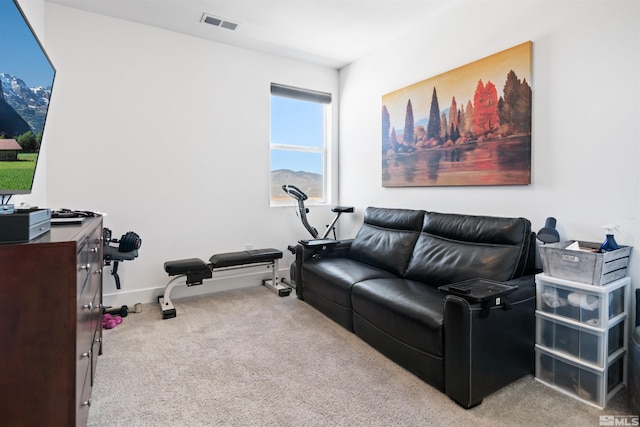 3617 Pulsar Ln Unit 2, Carson City, NV 89705 - workout area with carpet floors and baseboards