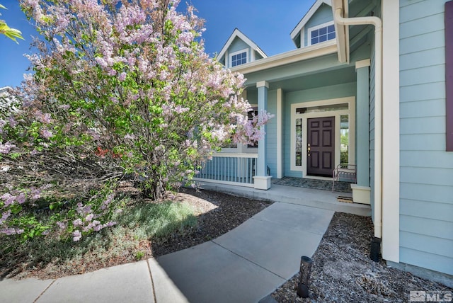 1655 Chiquita Cir, Minden, NV 89423 - property entrance featuring a porch