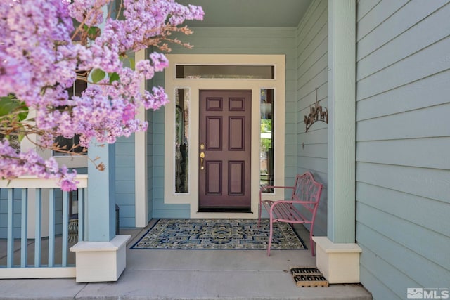 1655 Chiquita Cir, Minden, NV 89423 - property entrance with covered porch