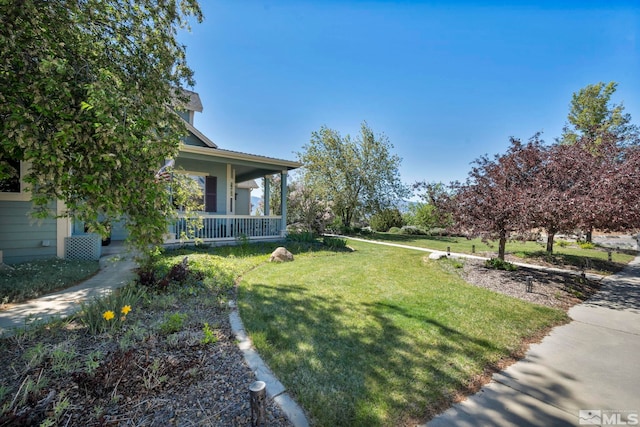 1655 Chiquita Cir, Minden, NV 89423 - view of grassy yard featuring covered porch