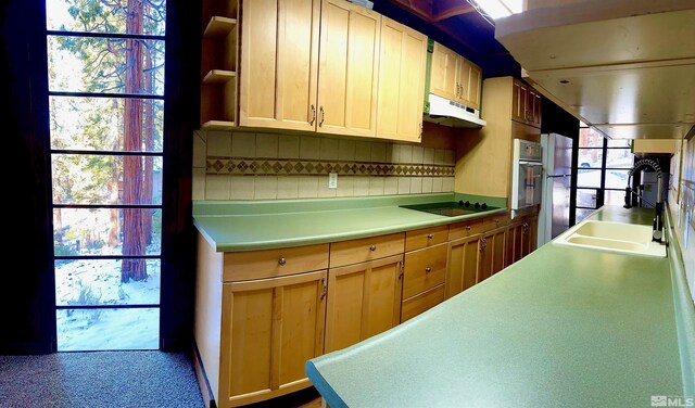 712 Lakeview Dr, Zephyr Cove, NV 89448 - kitchen with a sink, black electric stovetop, under cabinet range hood, stainless steel oven, and backsplash
