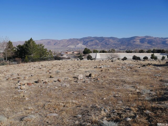 1235 Springer Ct, Reno, NV 89511 - photo 1