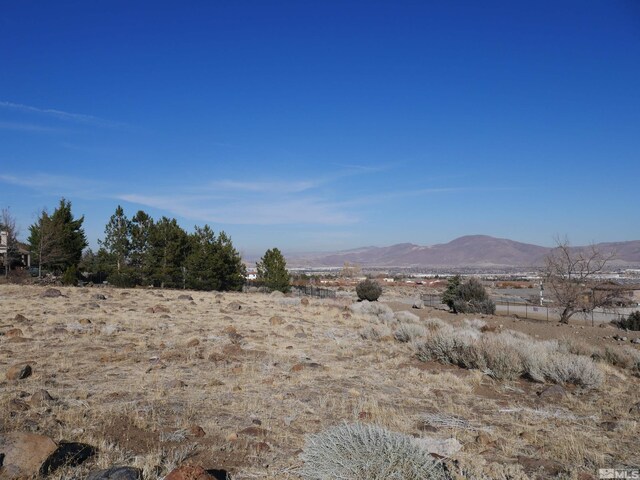 1235 Springer Ct, Reno, NV 89511 - photo 2