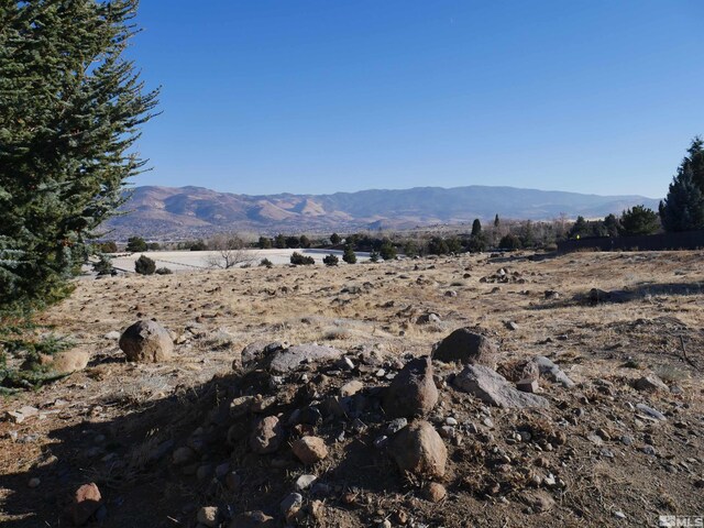 1235 Springer Ct, Reno, NV 89511 - photo 8