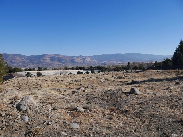 1235 Springer Ct, Reno, NV 89511 - photo 11
