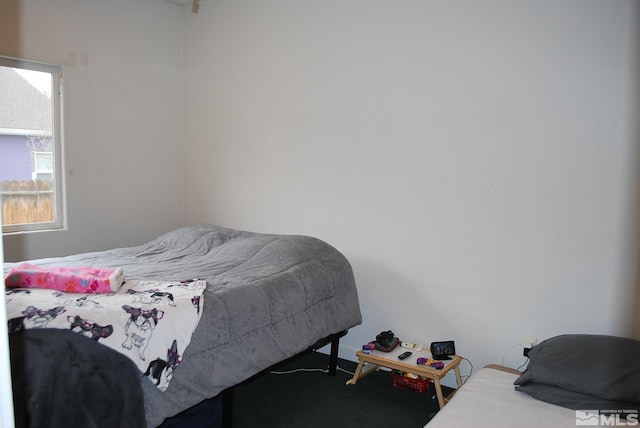 1075 Aster Ln, Fernley, NV 89408 - bedroom featuring carpet