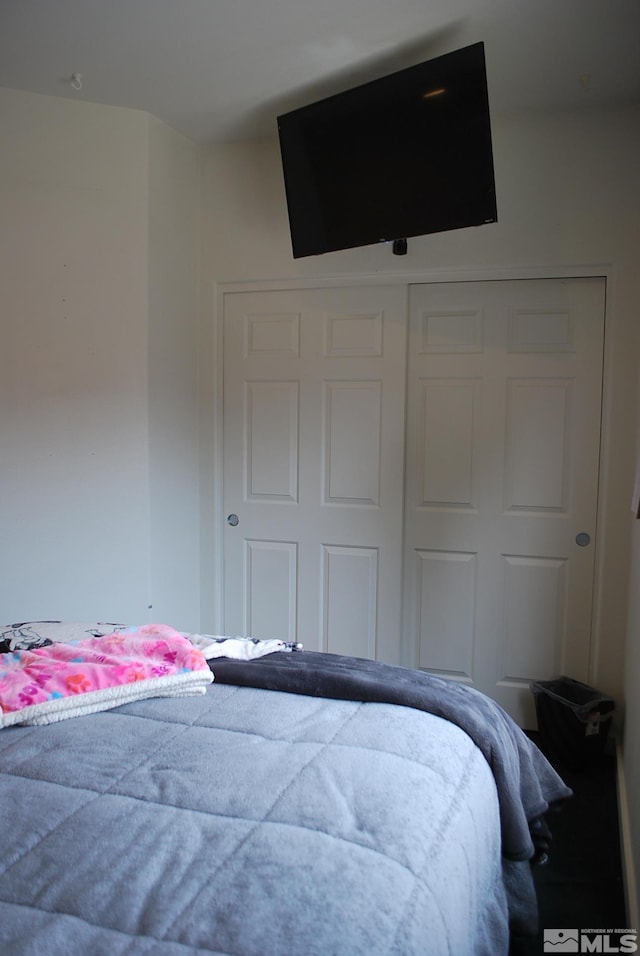 1075 Aster Ln, Fernley, NV 89408 - view of bedroom
