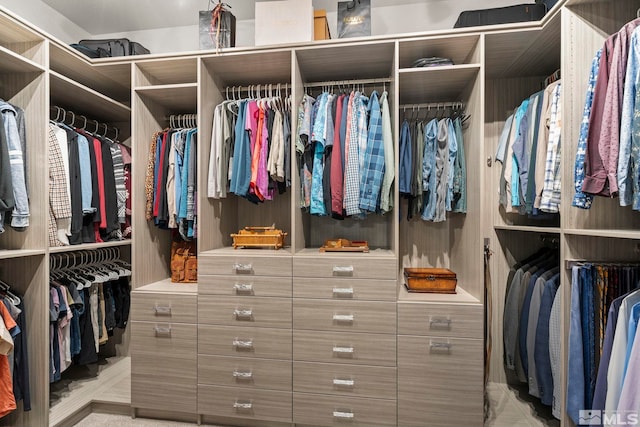 9179 Graycliff Ln, Reno, NV 89523 - view of spacious closet