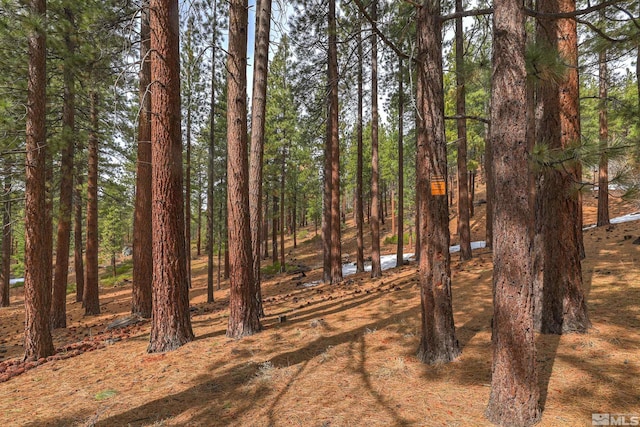 8 Katherine Ct, Stateline, NV 89449 - view of yard