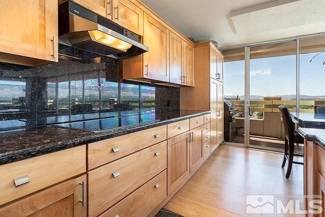 100 N Arlington Ave Unit 14F, Reno, NV 89501 - kitchen with under cabinet range hood, black electric cooktop, light wood-style floors, dark stone counters, and tasteful backsplash