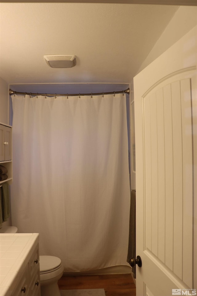 255 Ash St, Hawthorne, NV 89415 - full bath featuring toilet, wood finished floors, vanity, and a shower with shower curtain